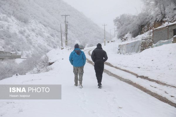 بارش برف گردنه گدوک محور سوادکوه