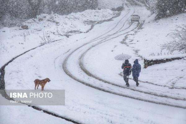 بارش برف زمستانی در سوادکوه