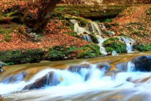 طبیعت پاییزی منطقه شیرین‌رود دودانگه ساری 