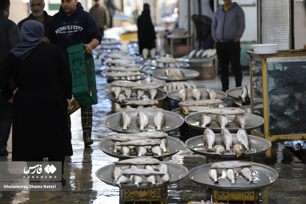 بازار فروش ماهی در چالوس