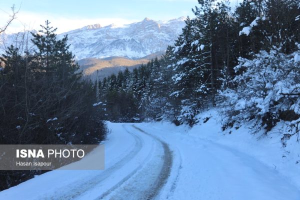 طبیعت زمستانی جنگل هیرکانی سوادکوه