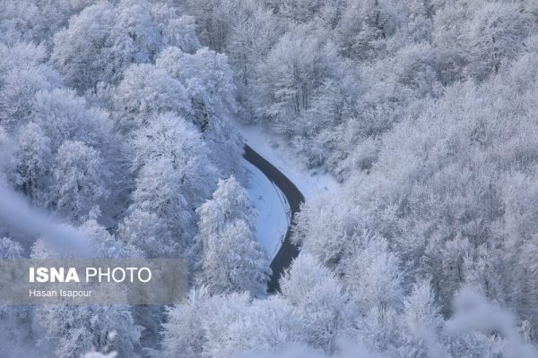 بارش برف زمستانی در سوادکوه