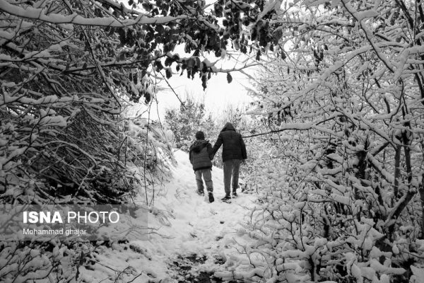 طبیعت زمستانی استان گلستان