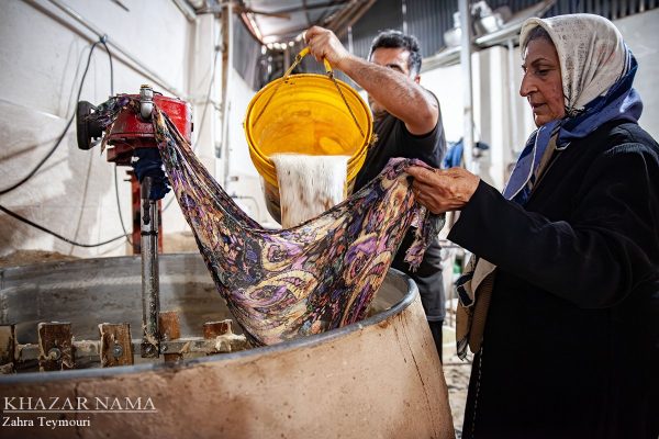 تولید شکر سرخ در روستای ریکنده قائم شهر