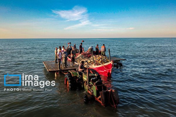 صید پره در سواحل دریای خزر