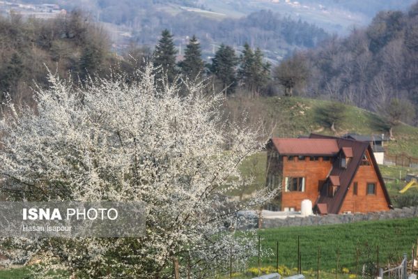 طبیعت سوادکوه در چند قدمی فصل بهار