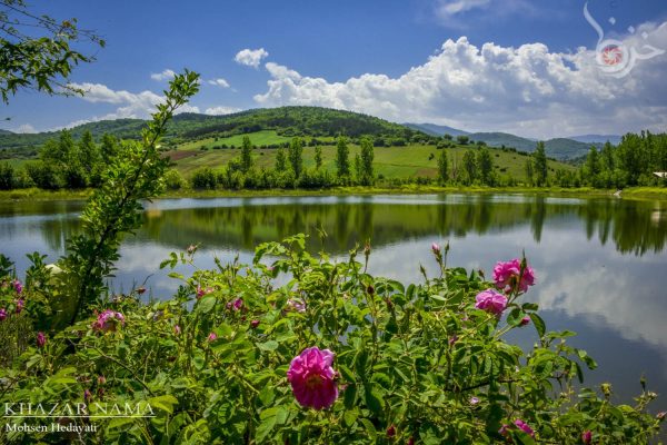 طبیعت بهاری شهر کیاسر
