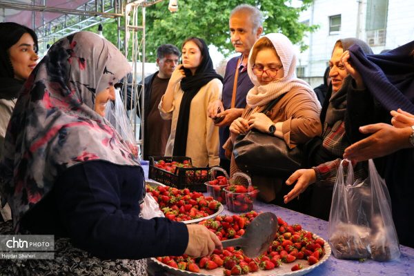 جشنواره توت فرنگی بهنمیر