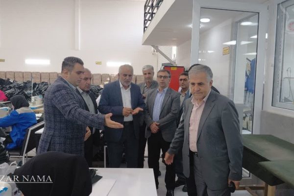 بازدید مدیران استانی و شهرستانی از مجموعه “ایران جامه” در ساری