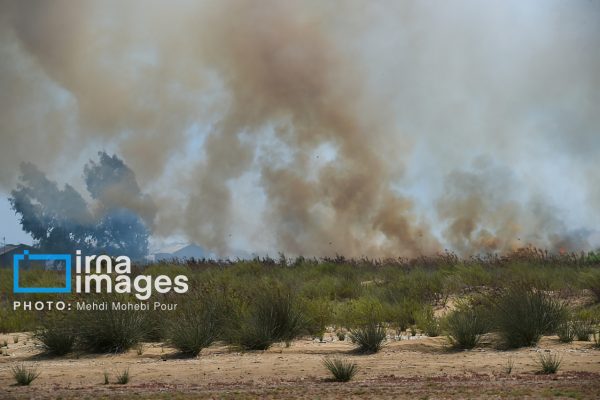 آتش‌سوزی‌ در پناهگاه حیات‌وحش میانکاله