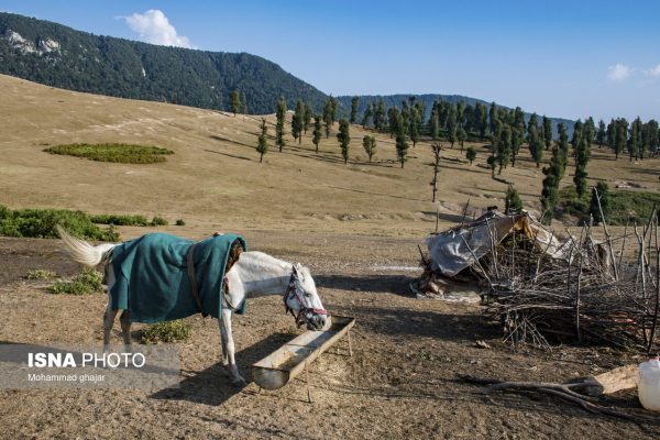 دشت مرکوه در ارتفاعات روستای قلعه‌قافه استان گلستان