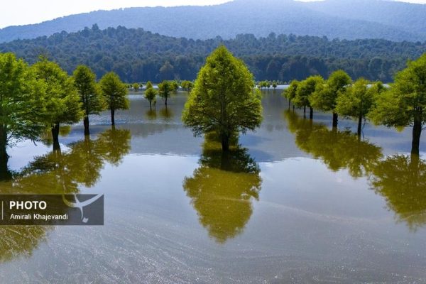 دریاچه طبیعی الندان در چهاردانگه ساری